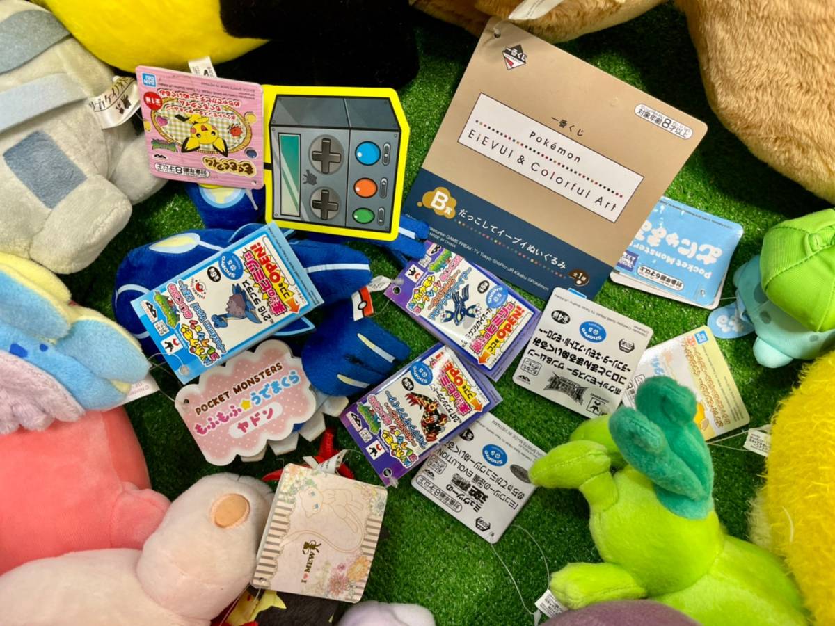 △29-160 ポケモン センター 公式 ぬいぐるみ タグ付多 一番くじ 幻 伝説 ゲンシ カイオーガ グラードン ミュウツー ワンパチ 大量 まとめ_画像9