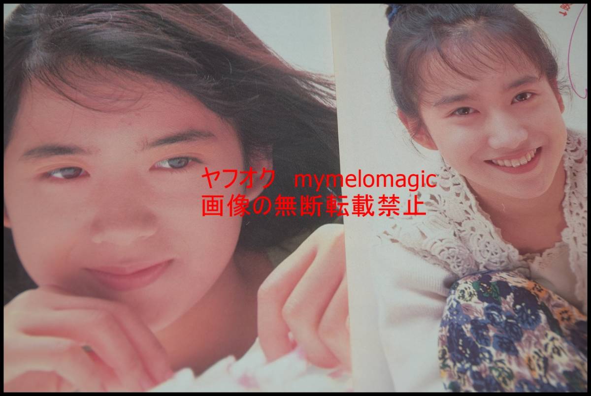 △限定1名様△貴重△和久井映見△切り抜きクリアブック