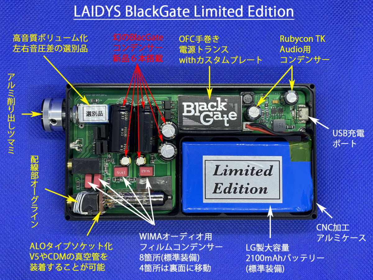 究極カスタム20】LAIDYS ポータブルヘッドホンアンプ BlackGate