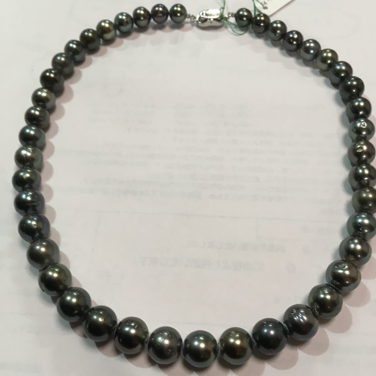 黒蝶貝タヒチネックレス〔S A 1 www.thebackbencher.co.in