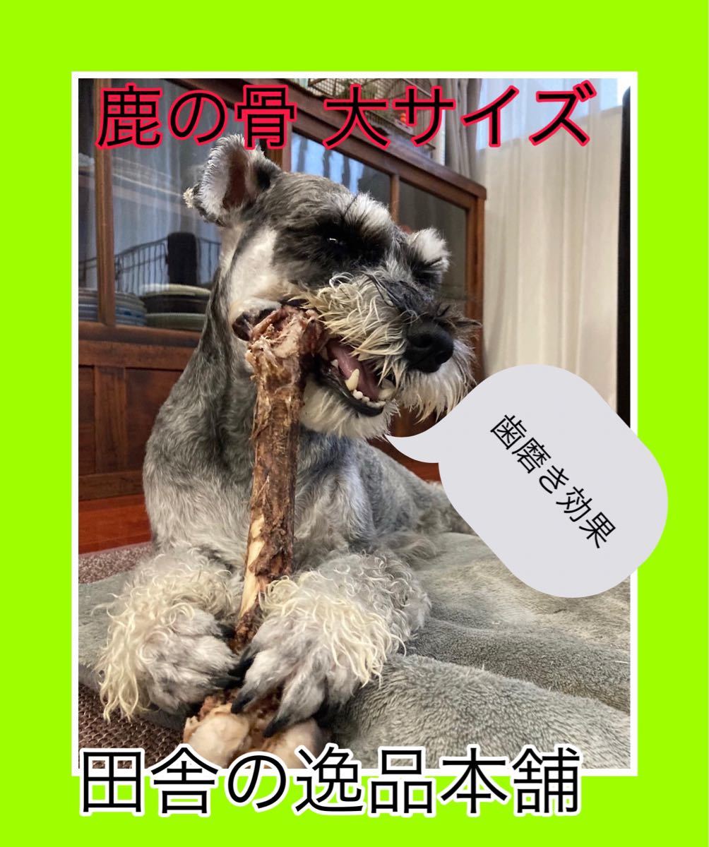 ★中型犬から大型犬用★鹿の骨・猪の骨詰め合わせ 7480円セット 1400g以上