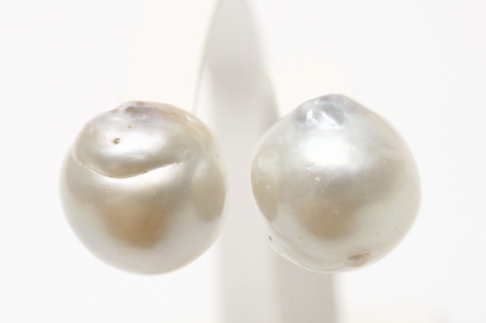 かわいい! 南洋白蝶真珠パールピアス 14mm シルバーホワイトカラー