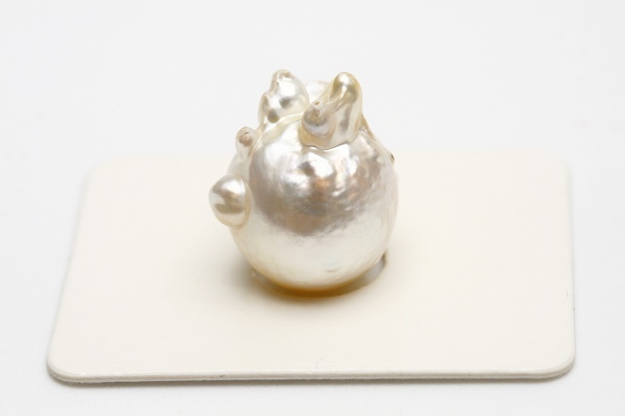 ブランド品専門の 南洋白蝶真珠パールルース　16×13mm　ホワイトカラー 真珠