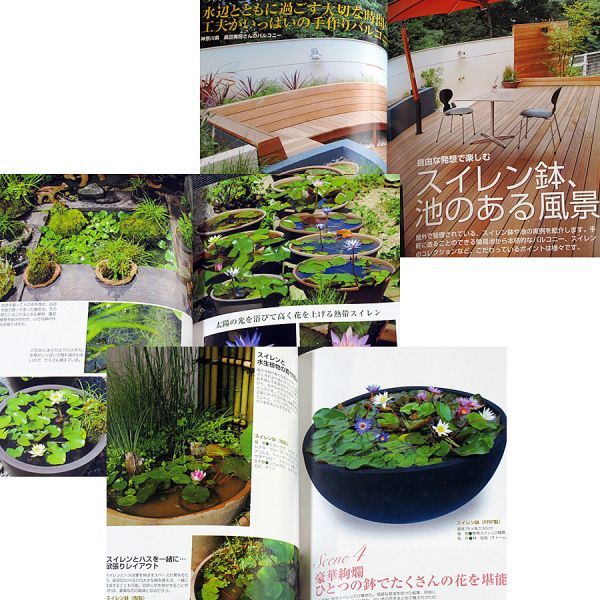スイレン鉢とテーブルアクアリウム ビオトープガイド 睡蓮鉢 水生植物 水草 植え方 育て方 作り方 メンテナンス ハス ガーデニング 売買されたオークション情報 Yahooの商品情報をアーカイブ公開 オークファン Aucfan Com スイレン鉢とテーブルアクアリウム ビオトープガイド 睡蓮鉢 水生植物 水草 植え方 育て方 作り方 メンテナンス ハス ガーデニング 売買されたオークション情報 Yahooの商品情報をアーカイブ公開 オークファン Aucfan Com