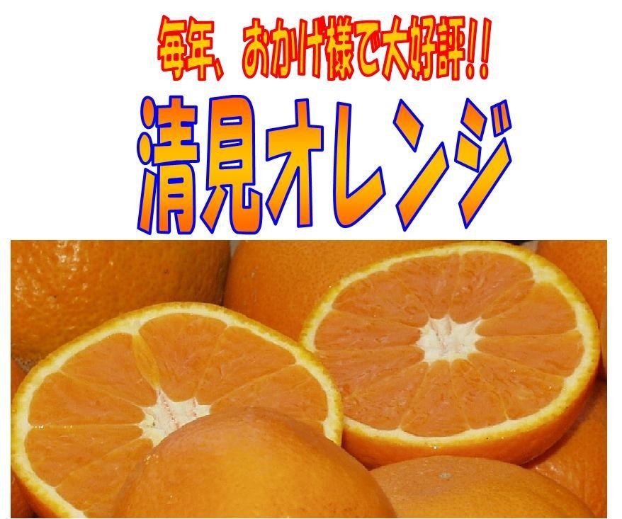 【京の果実屋】紀州有田●清見オレンジ●3kg￥1390チョット訳有_画像1