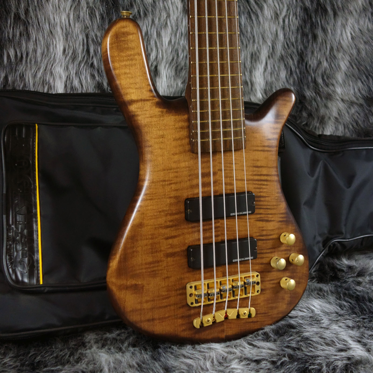 Warwick Streamer LX5