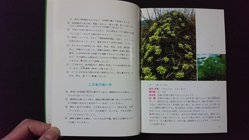 v# Niigata префектура травы иллюстрированная книга <Ⅰ> Niigata день .. промышленная компания эпоха Heisei 6 год модифицировано оборудование версия растения литература старинная книга /A22