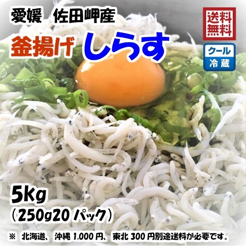 愛媛 佐田岬産 釜揚げしらす 5kg （250g×20p） 冷蔵便 浜から直送 無添加・無着色 送料無料 北海道・沖縄・東北は別途送料 宇和海の幸問屋_画像1