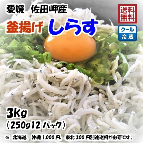 愛媛 佐田岬産 釜揚げしらす 3kg （250g×12p） 冷蔵便 浜から直送 無添加・無着色 送料無料 北海道・沖縄・東北は別途送料 宇和海の幸問屋_画像1