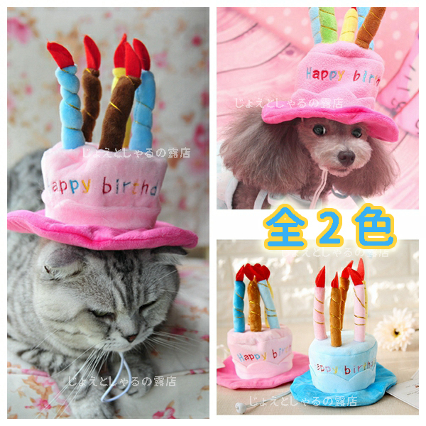 【ブルー】猫犬 誕生日 プレゼント 子供 帽子 ケーキ ロウソク ぬいぐるみ_画像1