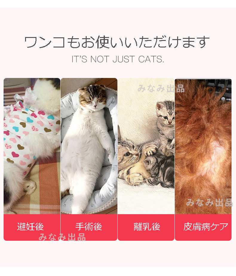 【S】猫犬 術後服 術後ウェア 離乳 避妊手術 皮膚保護 傷口 エリザべスカラー ボーダー