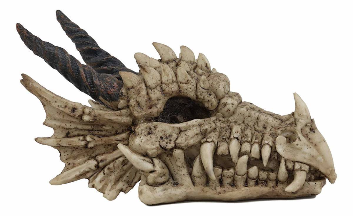 西洋彫刻 ドラゴンの頭骸骨 リアルな化石像 中世ファンタジーの為のミニチュア置物 魔法(輸入品)_画像4