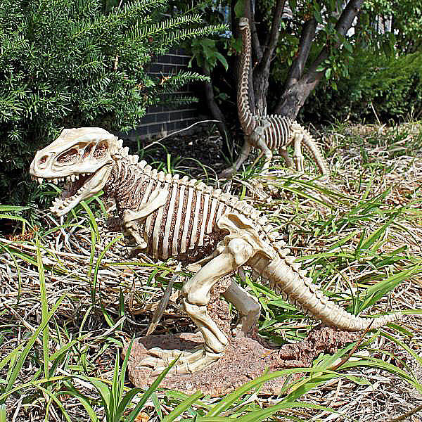 ティラノサウルス 大型恐竜骨格 ガーデン置物 インテリア アクセント/ ガーデニング 庭園 児童館(輸入品)