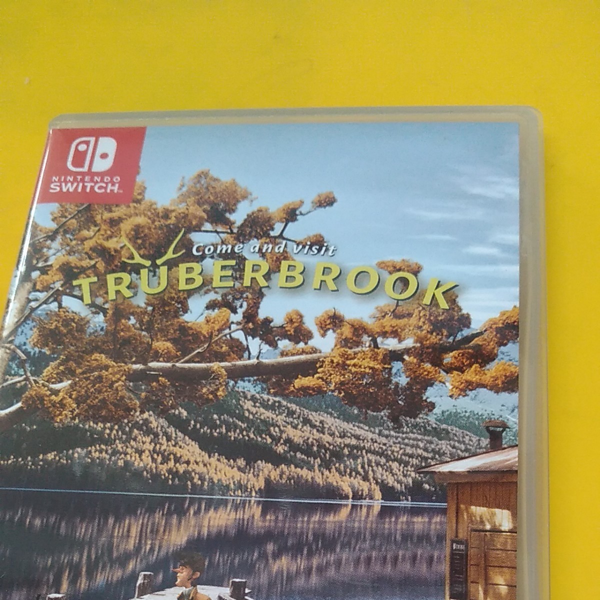 ニンテンドースイッチ ソフト TRUBERBROOK トルバーブルック Nintendo Switch パッケージ版