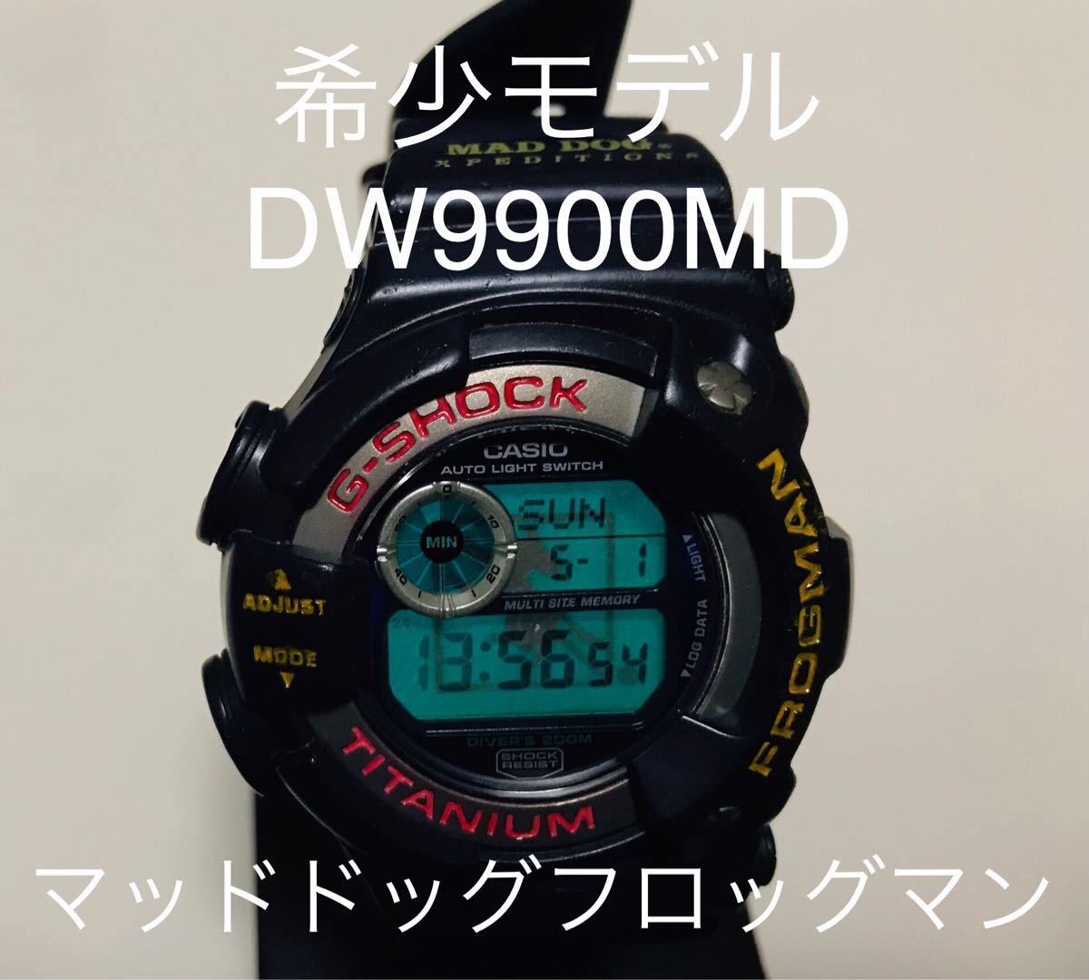 カシオ ビンテージ DW-1000 スクリューバック 時計 G-SHOCK レア