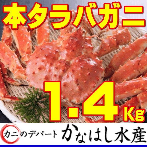 1円カニデパ特大1.4kgボイル本タラバガニ【身入良品】北海道産☆活目2kg前後物 父の日配送ＯＫ 412