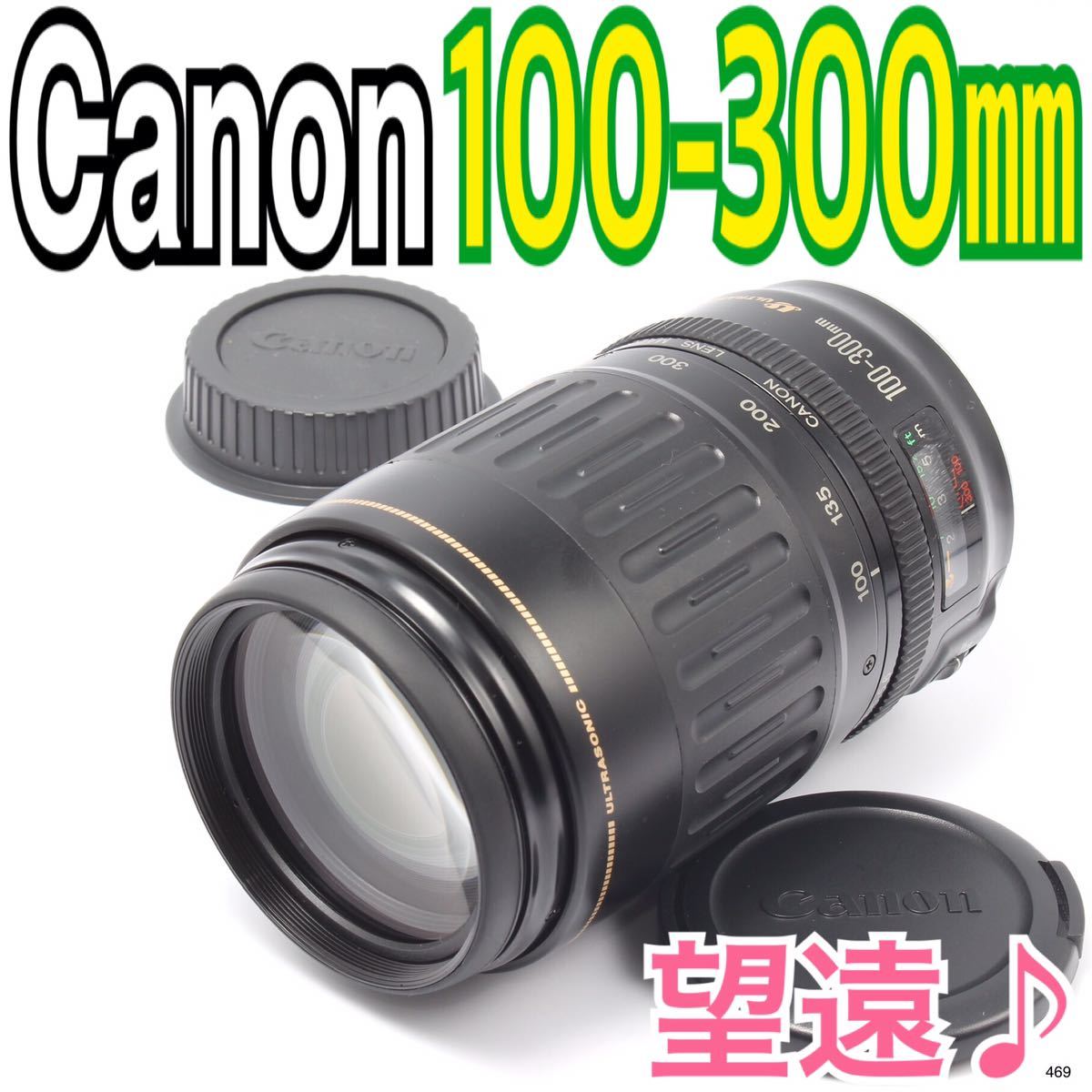Canon キヤノン 望遠レンズ 100-300mm レンズの向こうの未来!