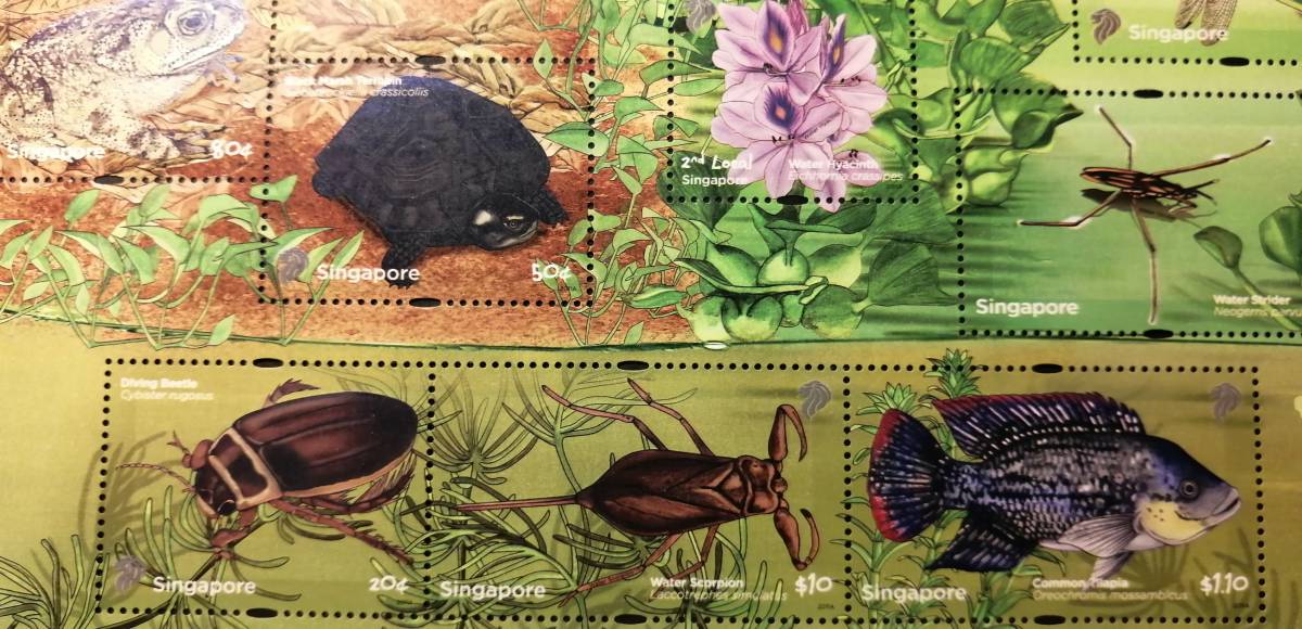 シンガポール 池の生物(14小型シート) MNH_画像4