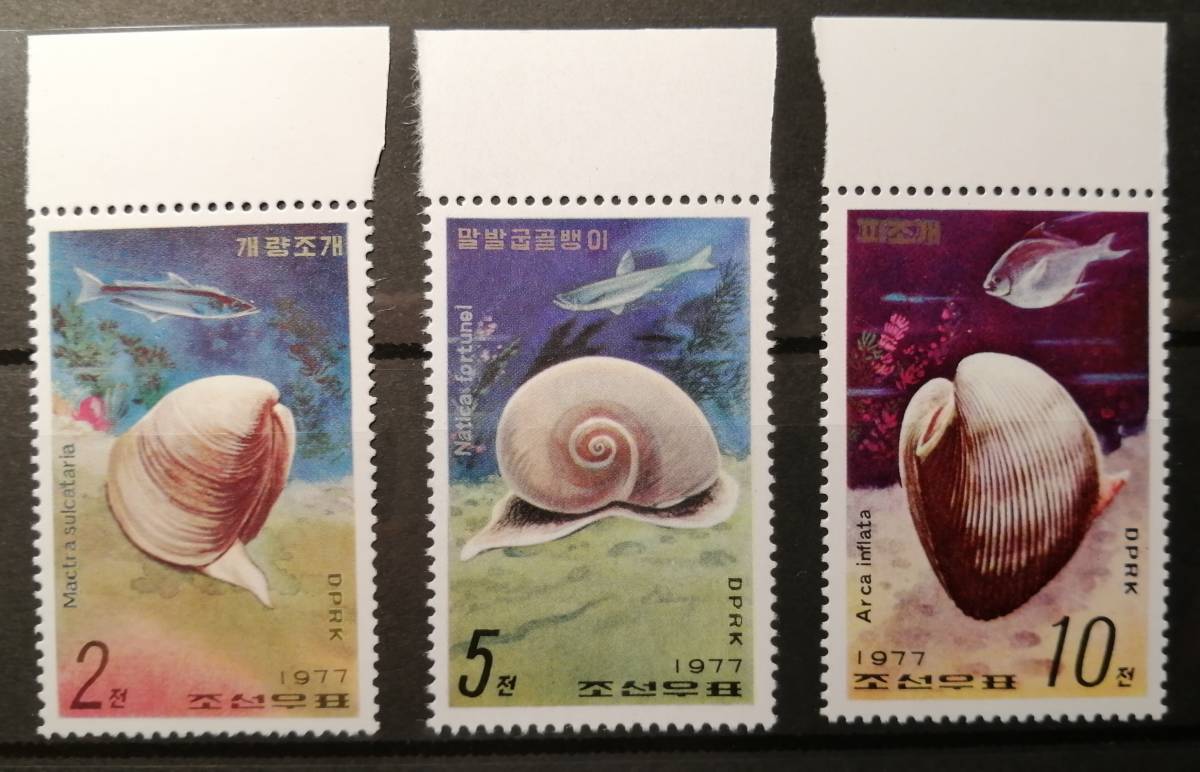 北朝鮮(2) 海洋生物(5種) MNH_画像2