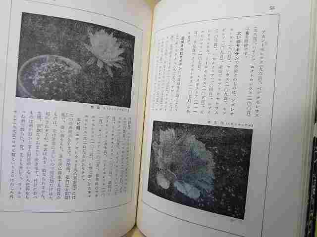  inside one [ cactus hand book appreciation . making person ] gold . company / Showa era 41 year ). person .