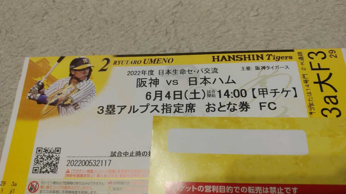 【通路側】6月4日(土)阪神vs日ハム　甲子園　３塁アルプス指定席　　　　_画像1