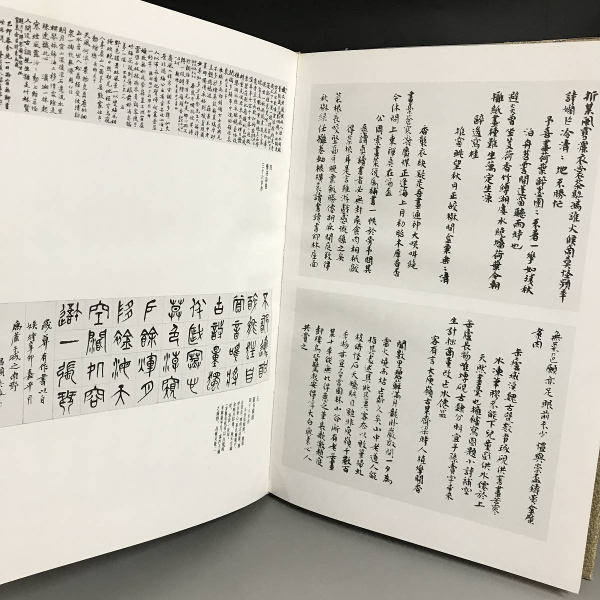 上海人民美術出版社 呉昌碩作品集 絵画 篆刻 二冊セット 2065 | www