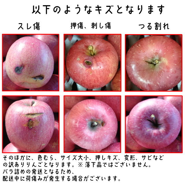 青森りんご訳あり有袋ふじ20キロ前後バラ詰め1円～_画像3