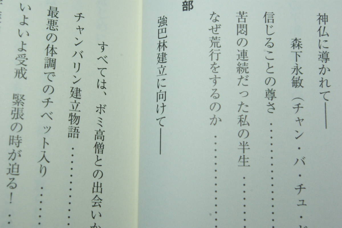 「心の平和を探し求めて　　チャンバリン建立物語」森下永敏_画像2