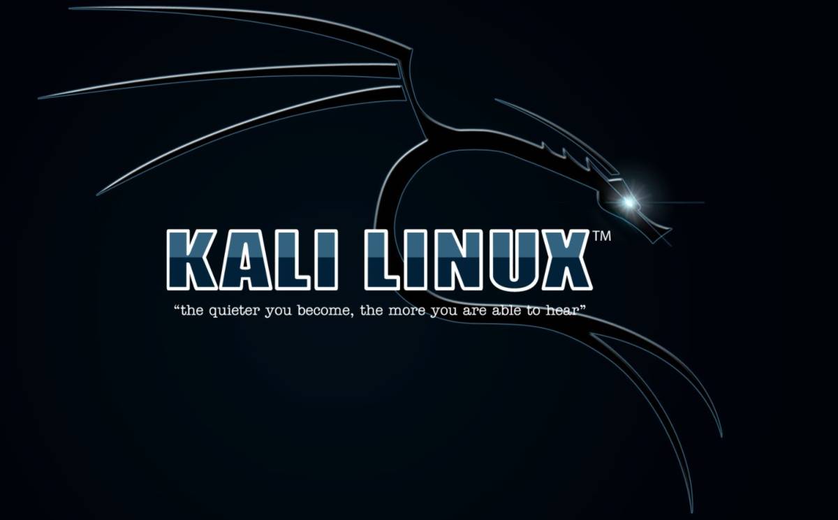 【即決 送料無料 匿名配送】 ALFA◆ AWUS036ACハイパワー a/b/g/n/ac 無線LAN USBアダプターWindowds Mac Kali Linux 対応 