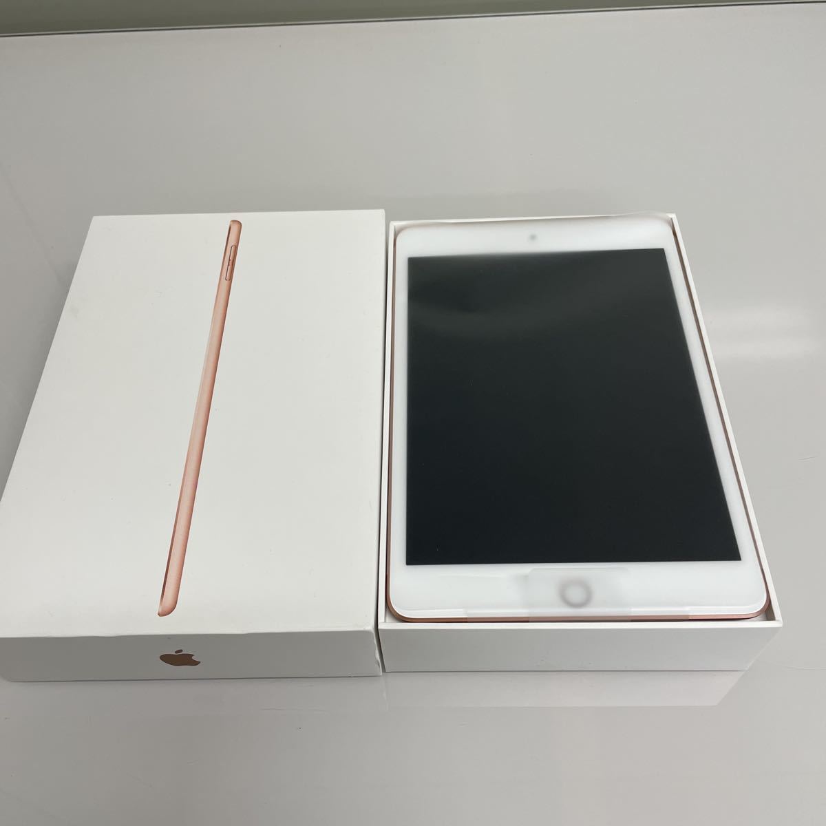 珍しい Apple 第五世代未使用？ Cellular Wi-Fi mini iPad iPad本体