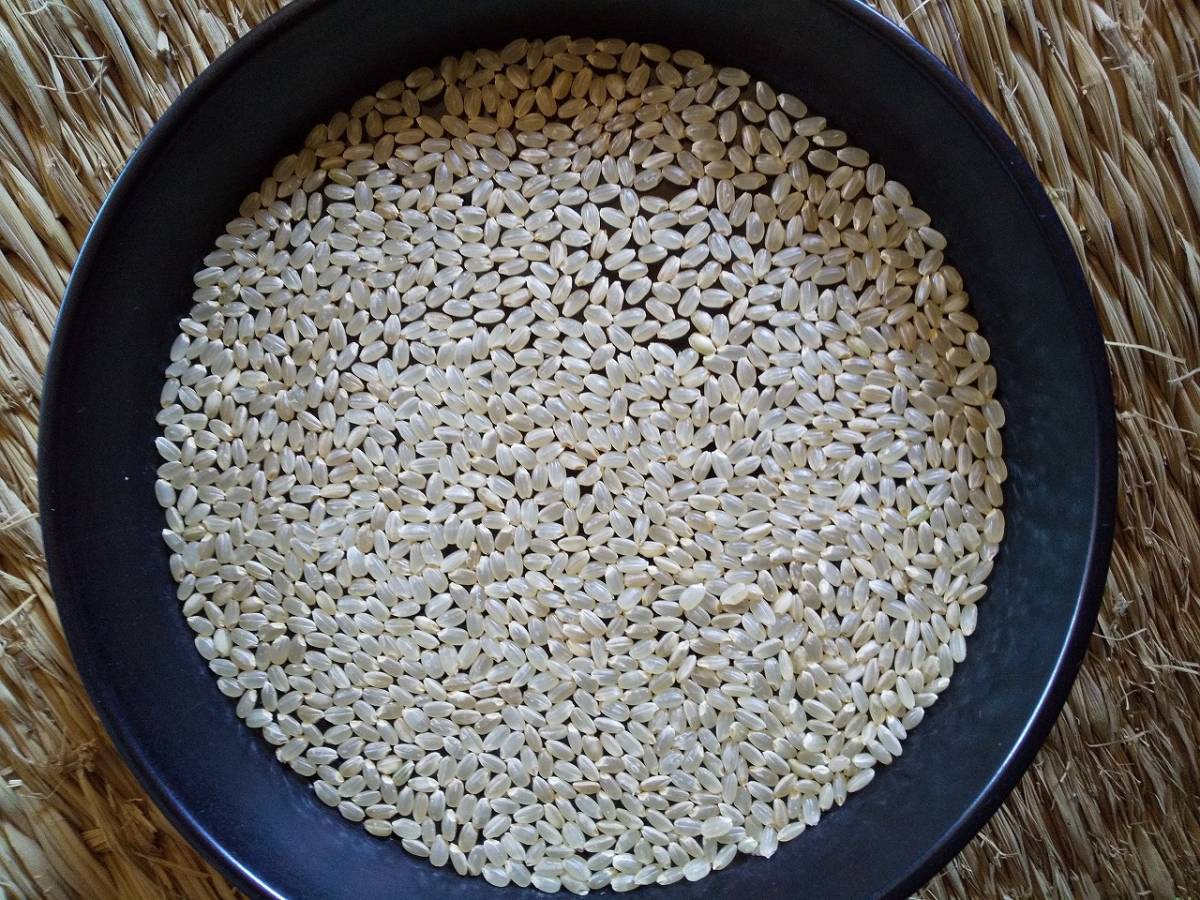 ウチで作ったお米です。新米 令和3年岩手県南ひとめぼれ 20k つ_画像2