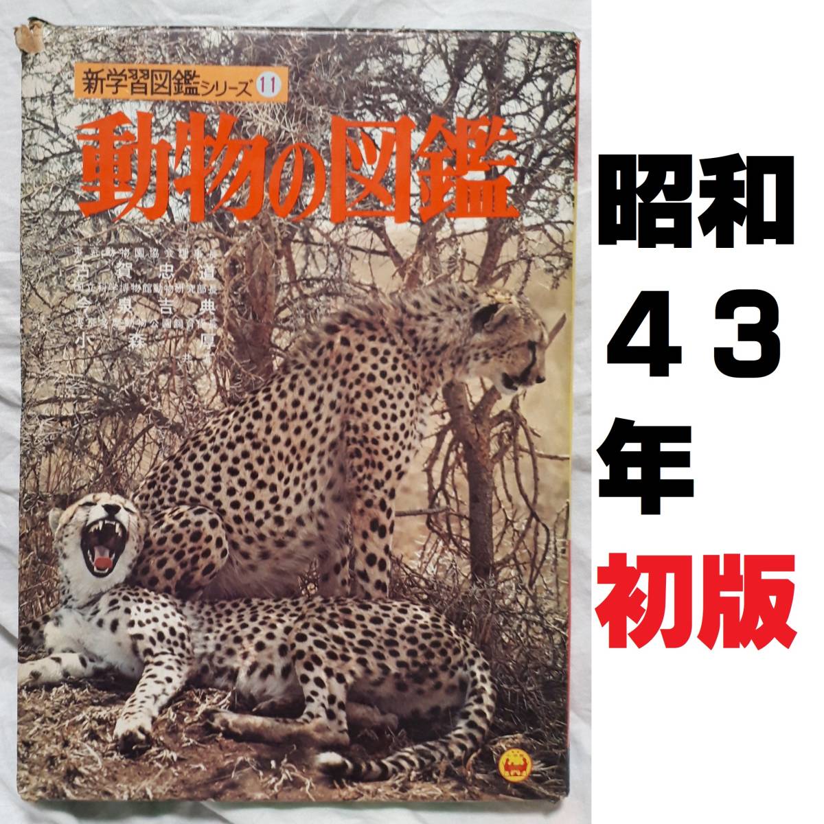 小学館の新学習図鑑シリーズ11「動物の図鑑」 昭和48年初版第1 小学館の新学習図鑑シリーズ11「動物の図鑑」 昭和48年初版第1