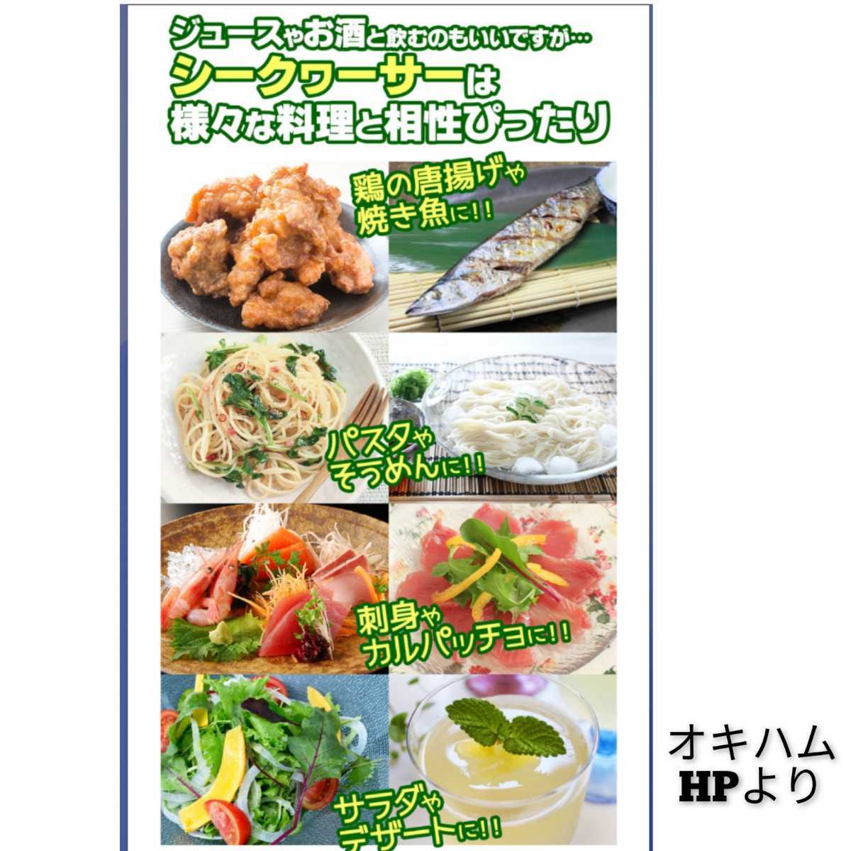 【激安】沖縄県産　シークァーサー100%果汁 500ml PET　1本　オキハム シークヮーサー 送料無料