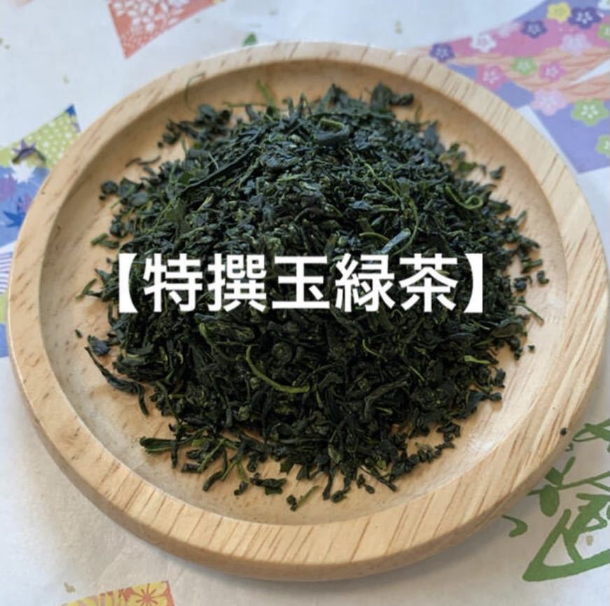 新茶　そのぎ茶　特選玉緑茶　100g×3袋 長崎県産　彼杵茶　西坂製茶