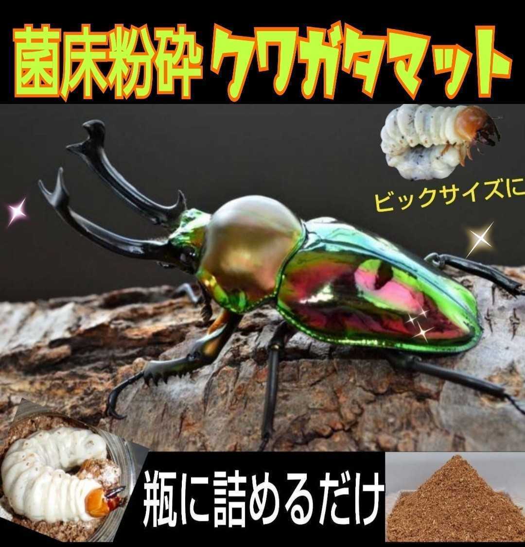 【改良版】ヒマラヤひらたけ菌床クワガタマット☆瓶に詰めるだけ!初令の小分けにも便利☆オオクワ、ヒラタ、虹色、ノコギリ系に抜群です!
