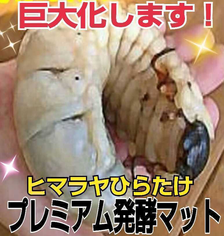 進化した！特選プレミアム3次発酵カブトムシマット☆微粒子☆特殊アミノ酸など栄養添加剤を３倍配合した究極のプロ仕様！産卵にも抜群です