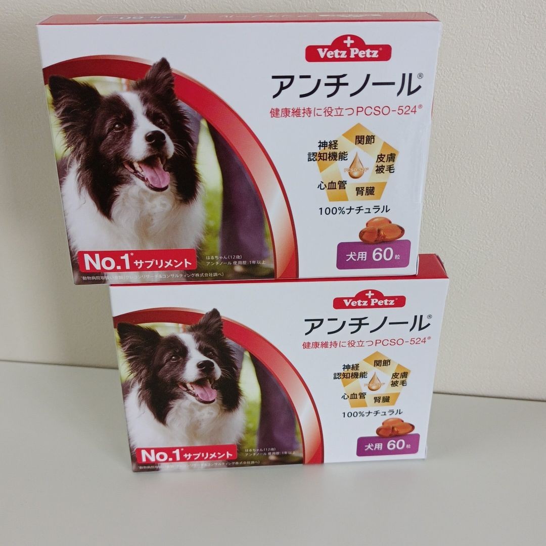 アンチノール 犬用 60粒 2個セット|PayPayフリマ