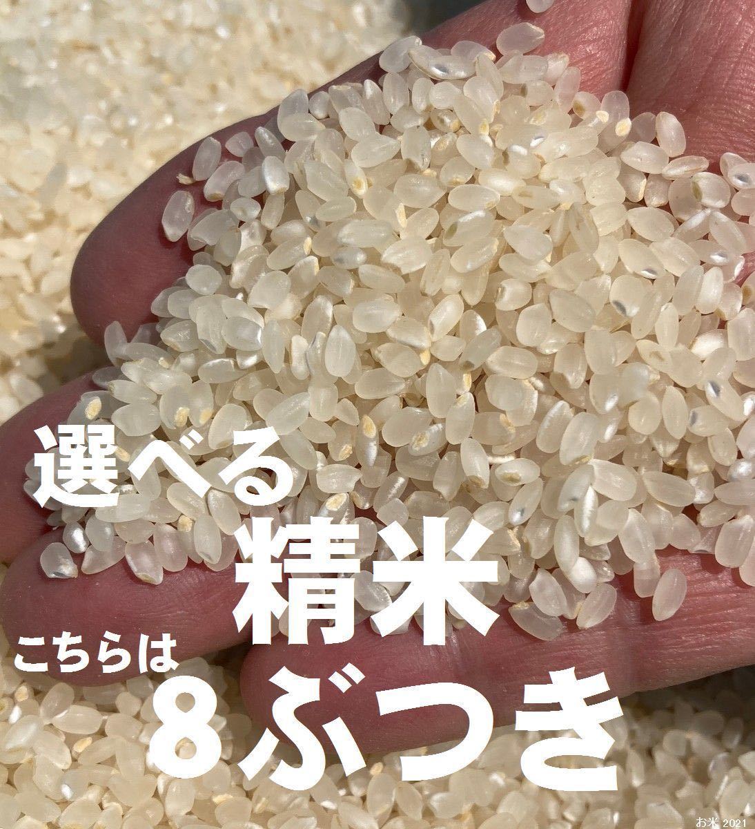 新米　棚田　幻のハイブリッド 大粒　酵素米　お米  玄米５ｋｇ「無洗米に精米」