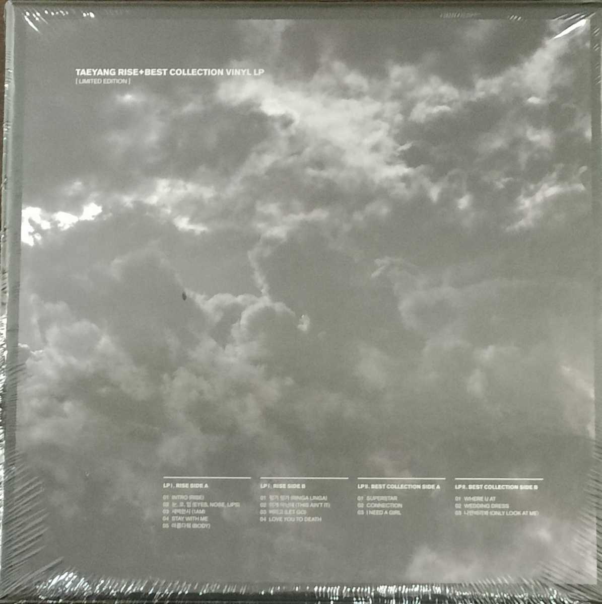 新品即決 送料無料 bigbang SOL-テヤン (TaeYang) RISE + BEST