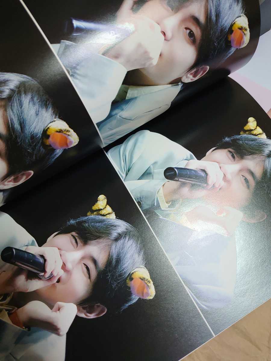 BTS テテ テヒョン V taehyung フォトブック 写真集 DVD マスター