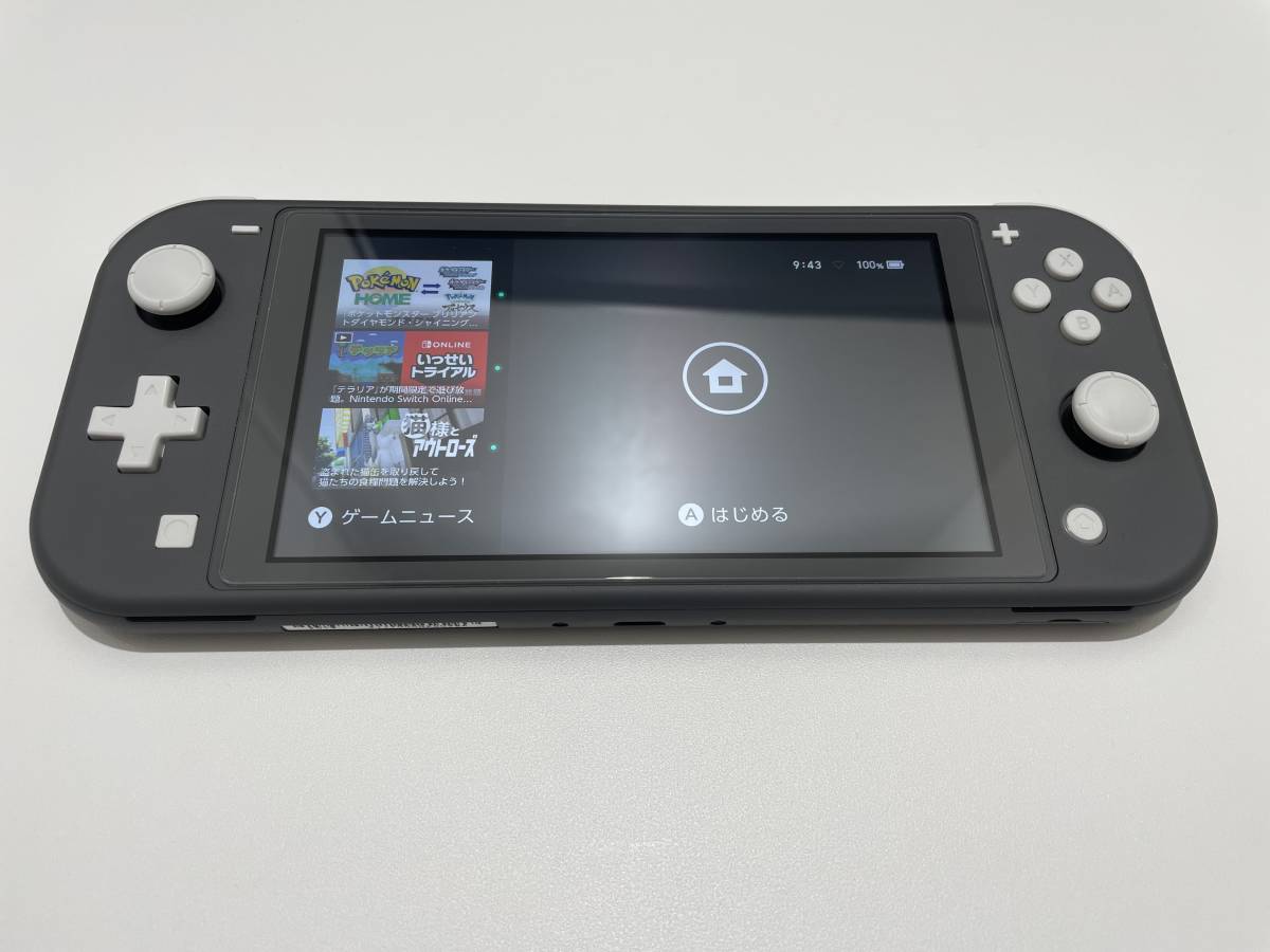 Nintendo Switch Lite ニンテンドースイッチライト グレー 本体 ケース