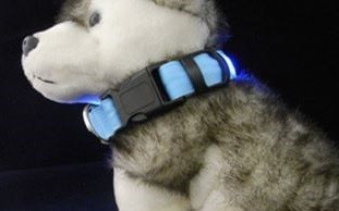 光る!首輪【S 緑】LEDライトが明るく安全！小型犬 夜間のお散歩に♪ 安心 防犯 犬 猫 ペット 【グリーン/S 】