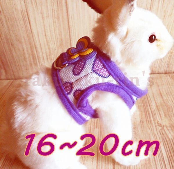  hamster * Harness & Lead * purple [M] pretty one Point! harness ... ferret [ purple M] small animals pet clothes 