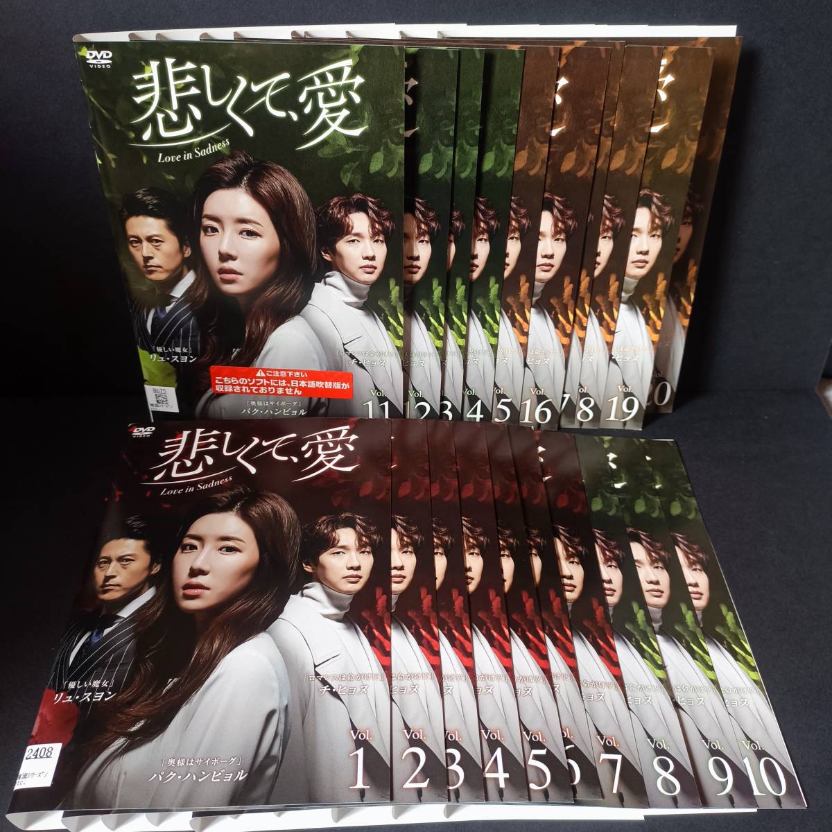DVD レンタル落 悲しくて、愛 全20巻セット www.dinkes.kendalkab.go.id