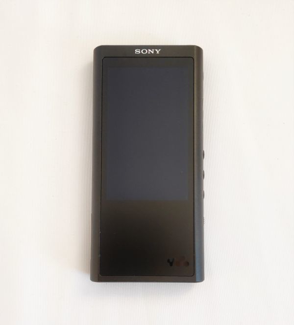 SONY Walkman NW-ZX300G 128GB | monsterdog.com.br