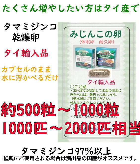 PayPayフリマ|メダカのエサ ミジンコ卵 1カプセル 乾燥卵 タマミジンコ耐久卵 タイ産 みじんこ PayPayフリマ|メダカのエサ ミジンコ卵 1カプセル 乾燥卵 タマミジンコ耐久卵 タイ産 みじんこ