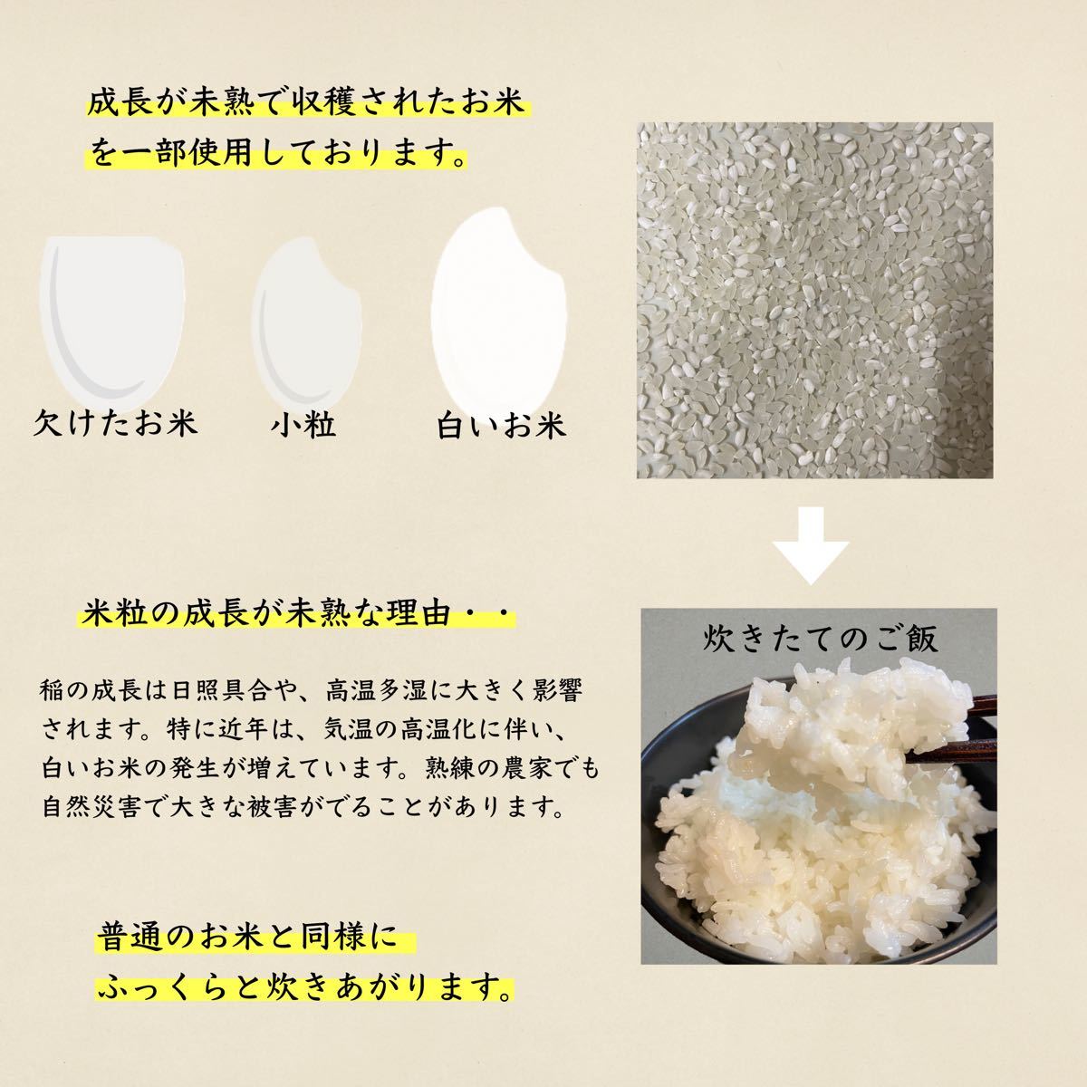1350円 最大93%OFFクーポン 棚田の幻の 大粒米 新米 酵素米 お米 玄米 10キロ 標準 白米に精米 希少