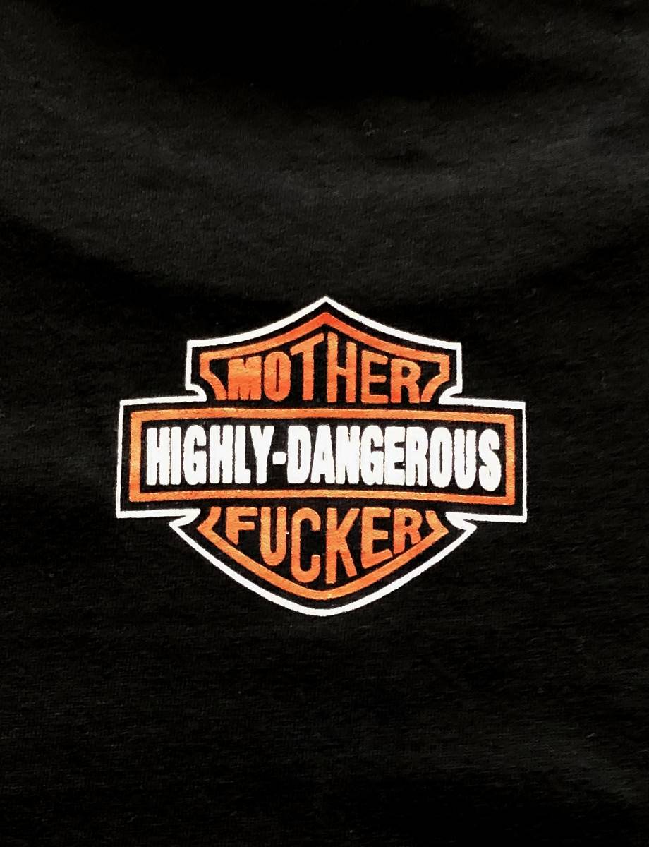 GTS MOTHER FUCKER HIGHLY-DANGEROUS 丸首Tシャツ Lサイズ ブラック 両面プリント　_画像6