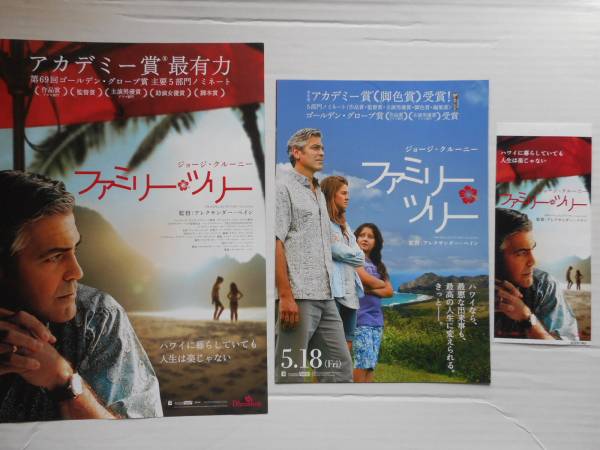 チラシ2種&前売券半券