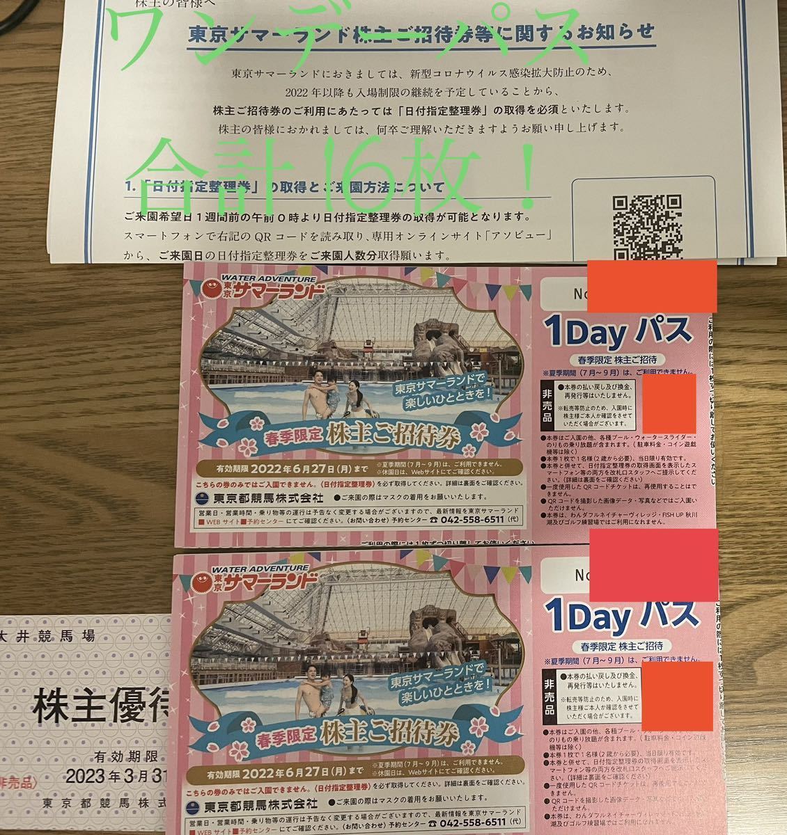 東京都競馬 東京サマーランド 株主優待券16枚 春季8枚＋9月ま 8枚 最新 写真は一部 匿名追跡(関東)｜売買されたオークション情報